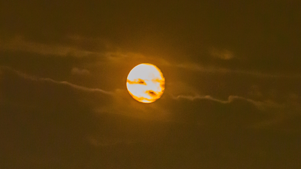    Фото: Роман Денисов/Globallookpress.