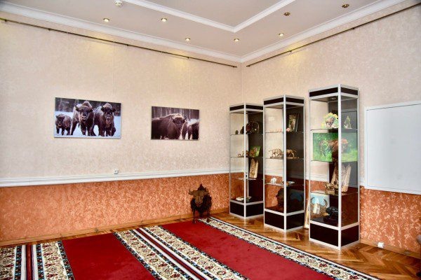 Фото: тг-канал Андрей Клычков  📷
