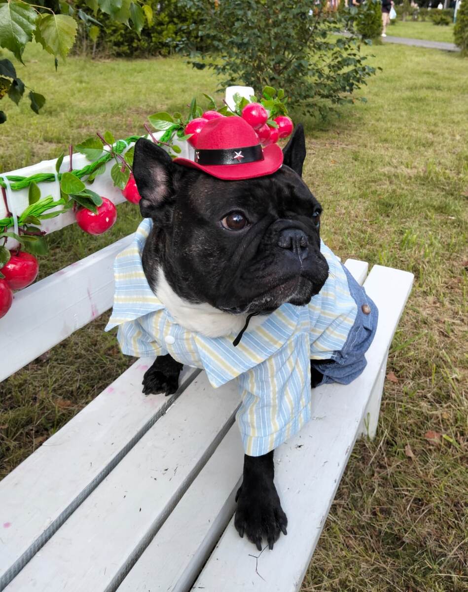 Фото автора