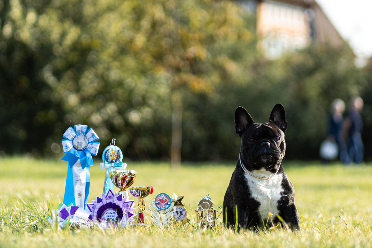 Фото автора: не правильно