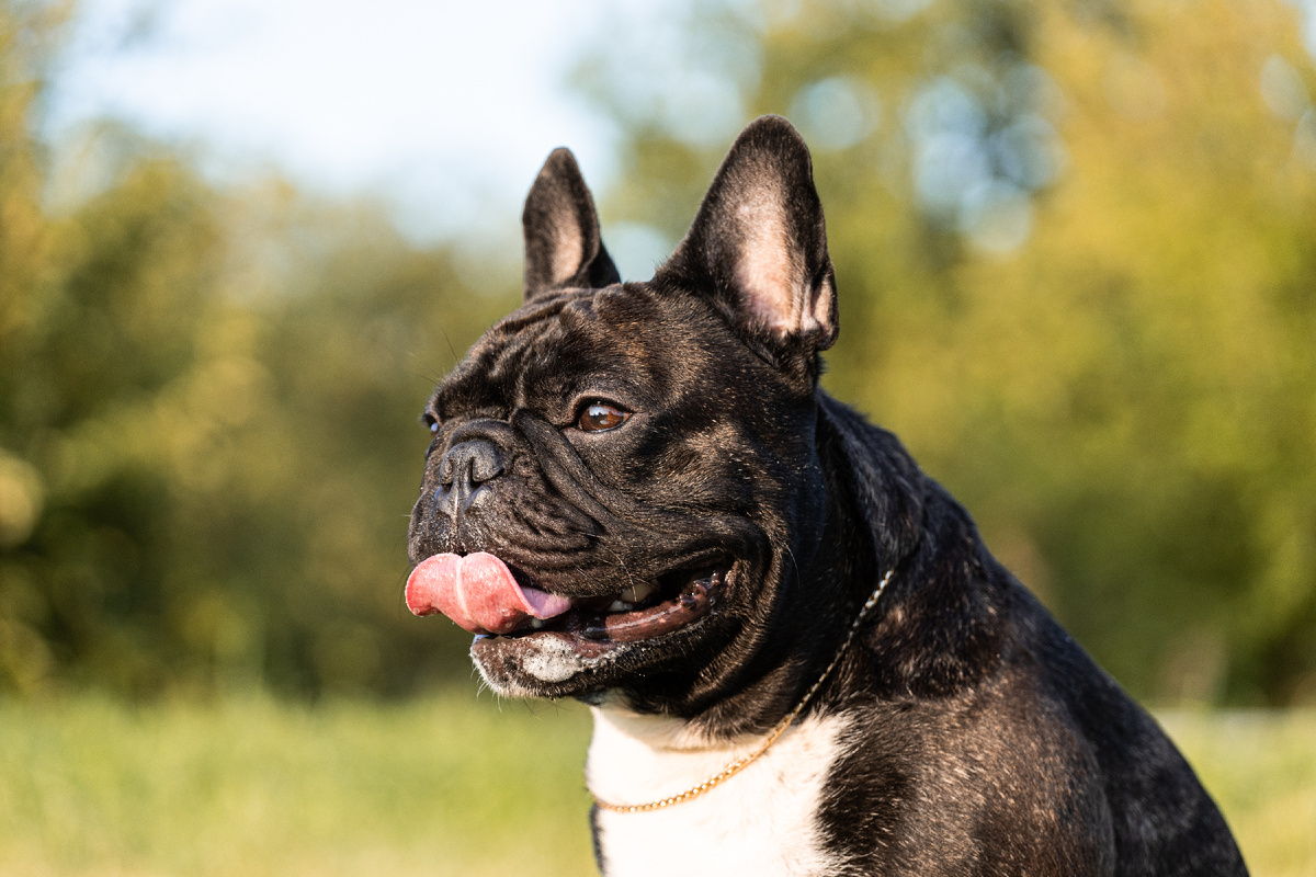 неправильно