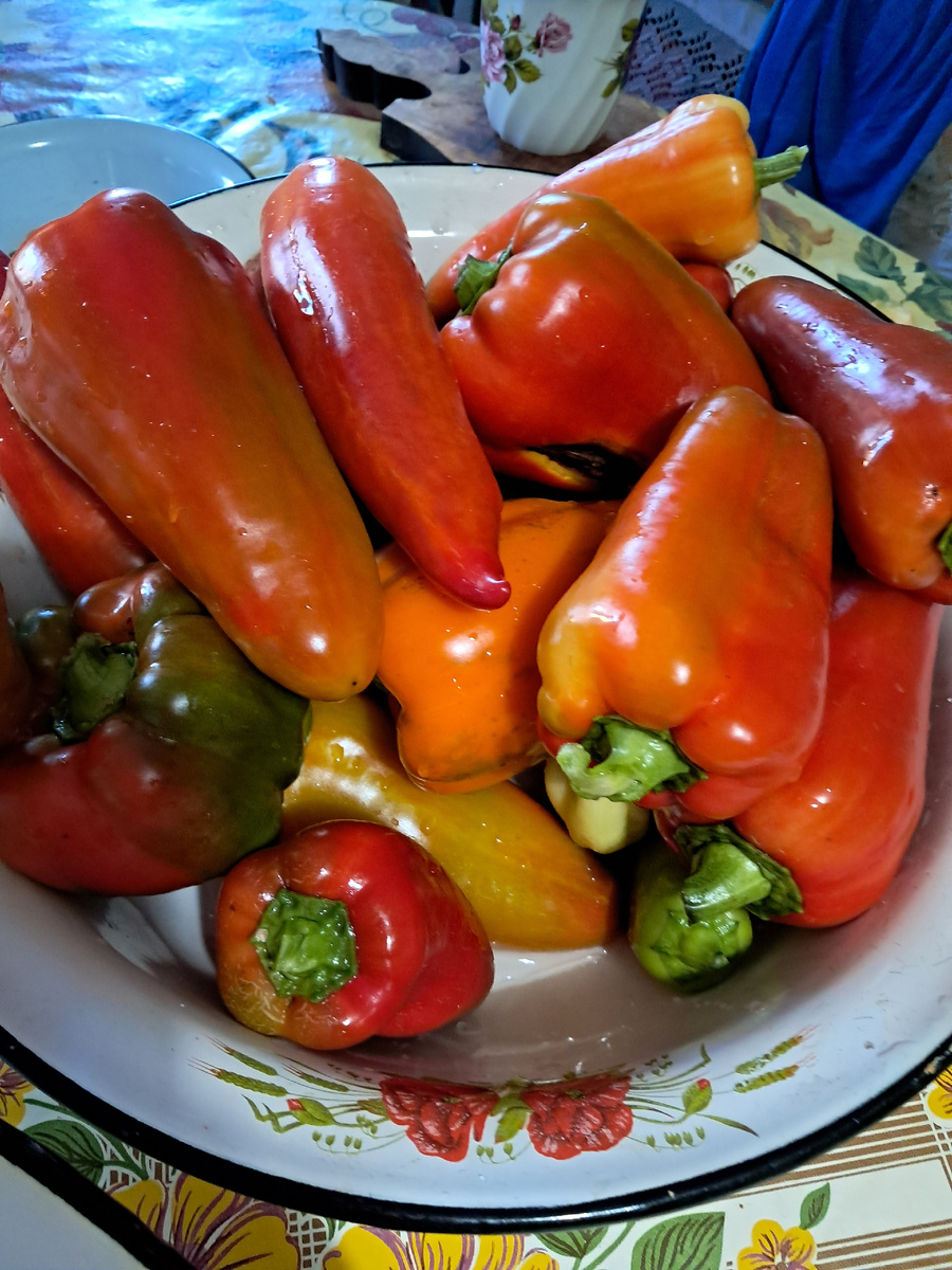 фото перцев