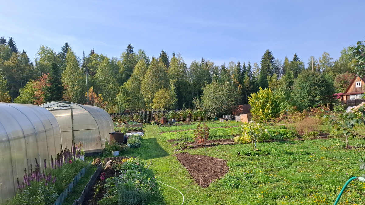 Вот такой солнечный денек.