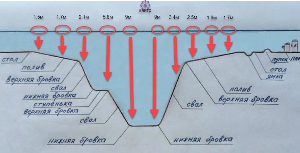 Поиск бровок