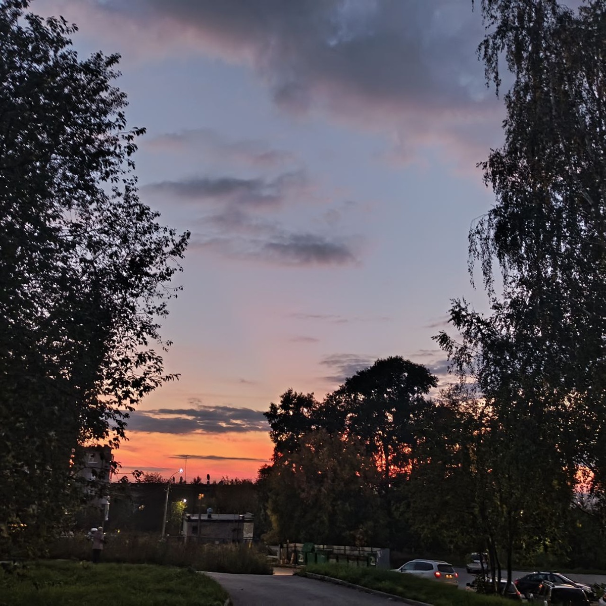 Фото сделано сыном на вечерней прогулке. 