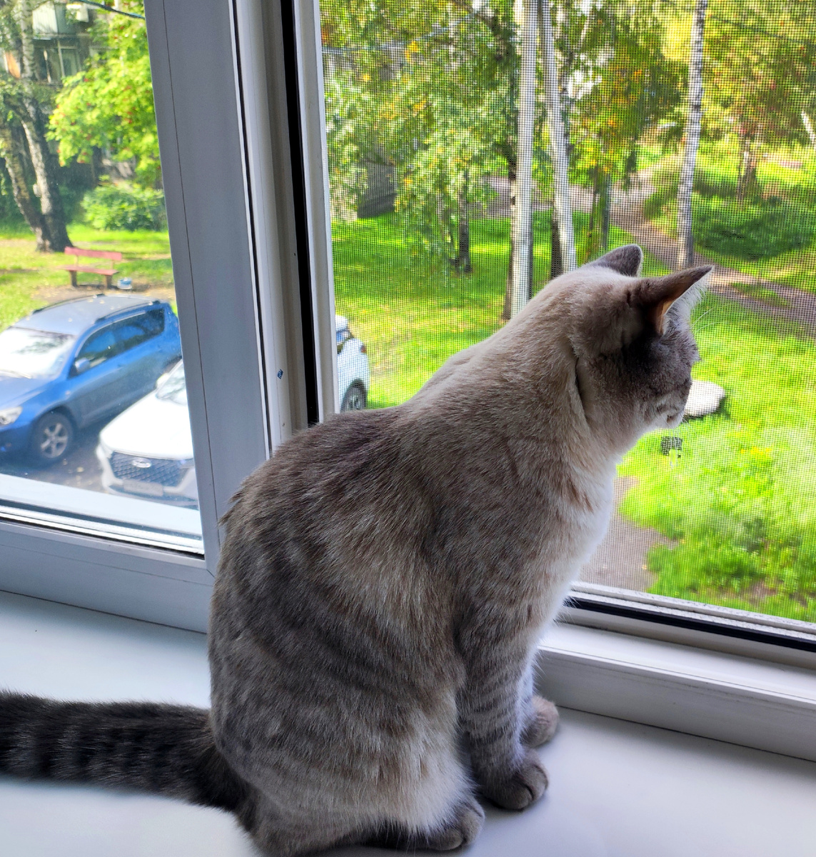 Фото автора 