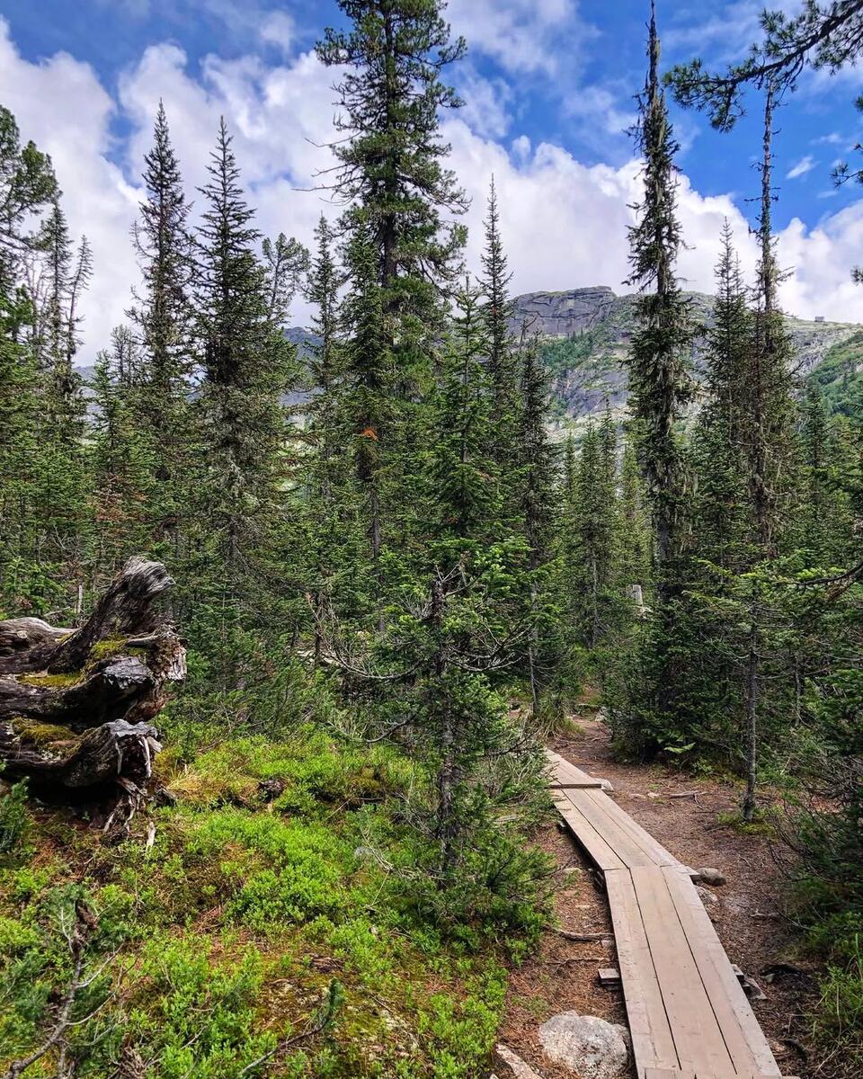 Природный парк Ергаки. Природа просто фантастическая: ес, горы, горные речки, водопады и предупреждающие таблички, что возможно вас могут съесть медведи))