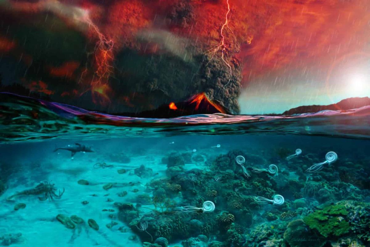 Источник: naked-science.ru. ©Dawid Adam Iurino, PaleoFactory, Sapienza University of Rome / Автор: Sycophanta Duccius