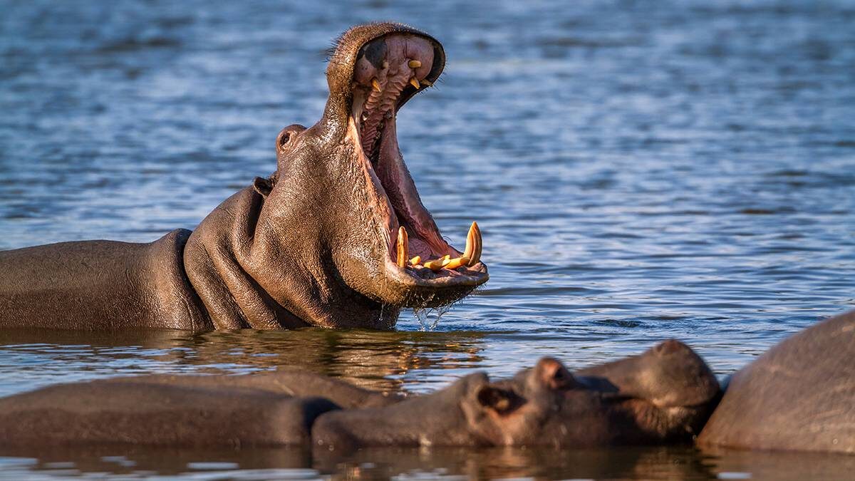    Фото: shutterstock