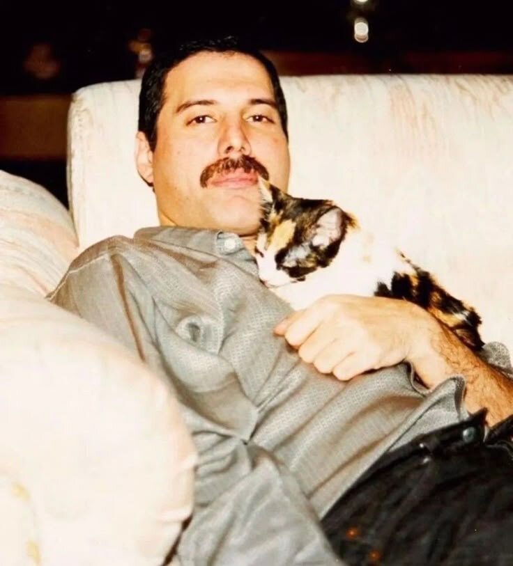 Фото из интернета