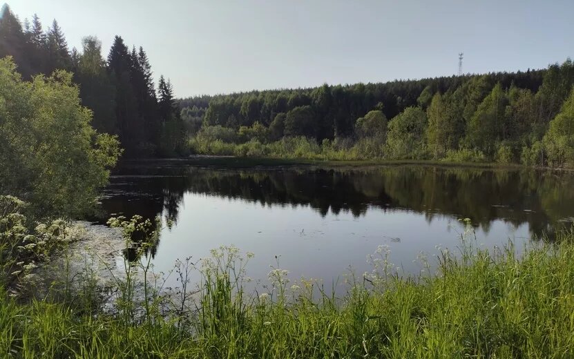    Пруд в Шарканском районе вернули в статус водного фонда