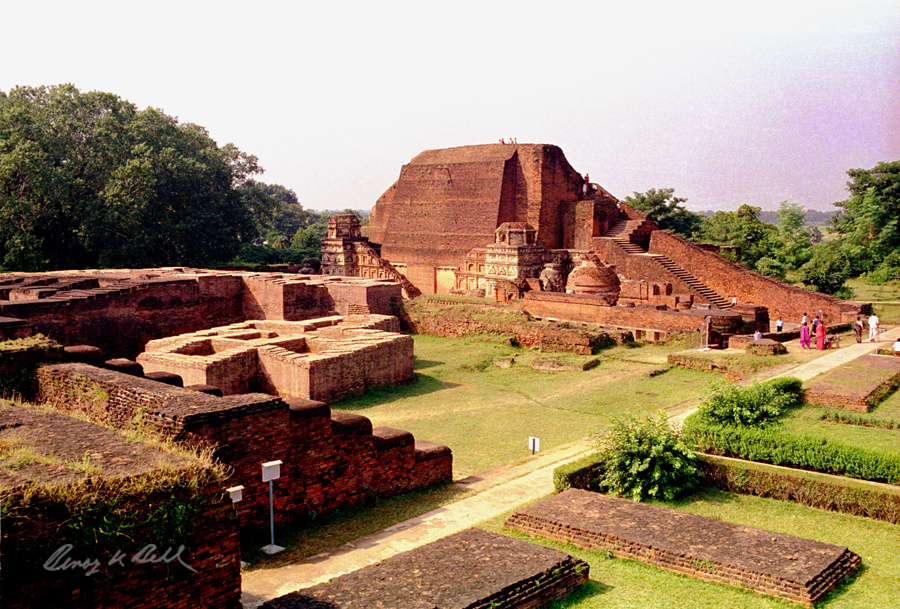 Источник: https://fijitimes.net.au