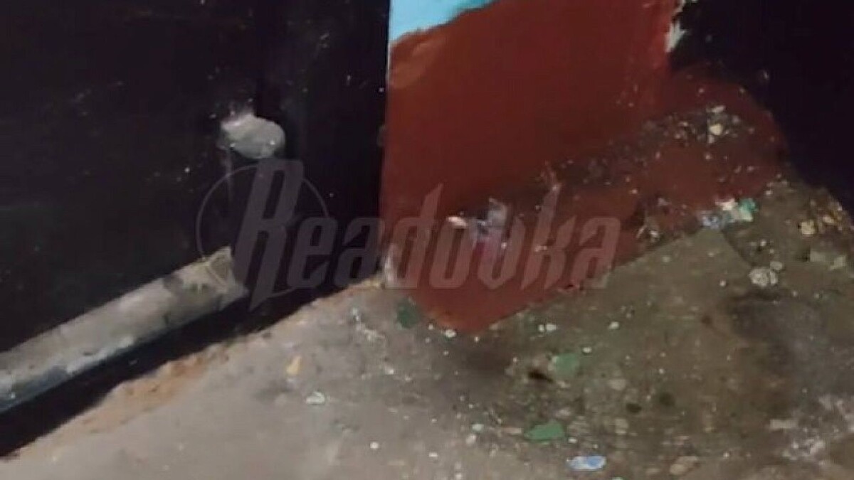    Фото: t.me/readovkanews