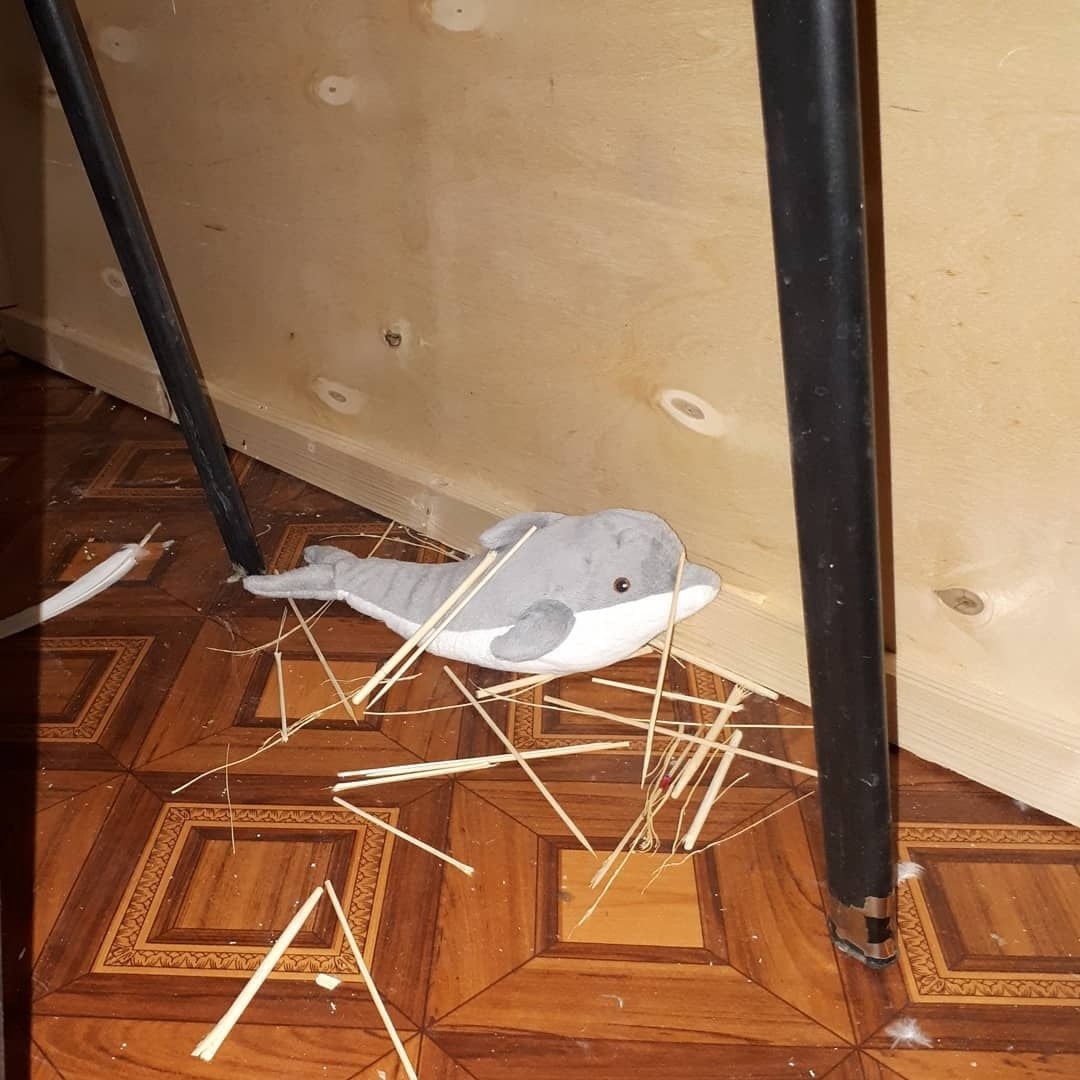 Фото сделано уже после того, как мы стали давать ему строительный материал