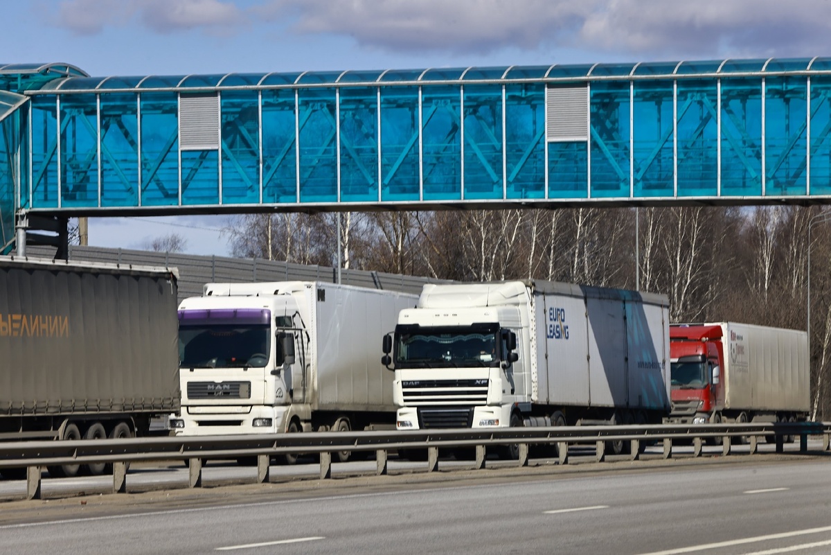 Автор фото: Павел Хацаюк / ИД «Вечерняя Казань»