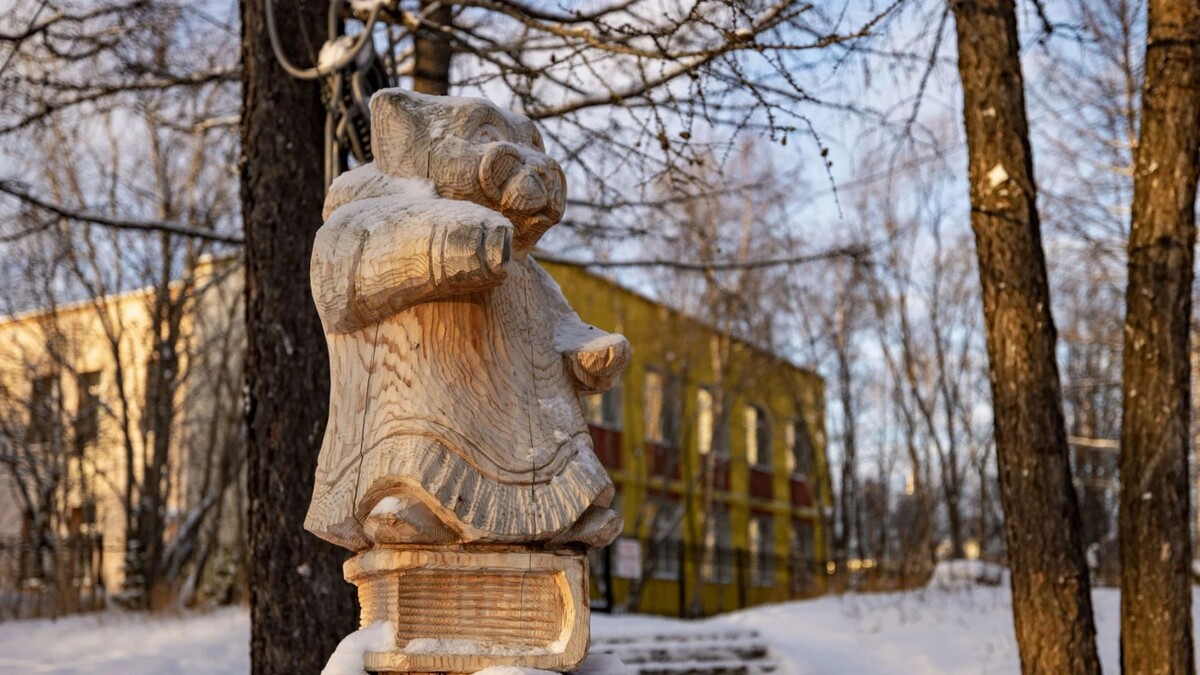    Фото: Сергей Зубков/«Ямал-Медиа»