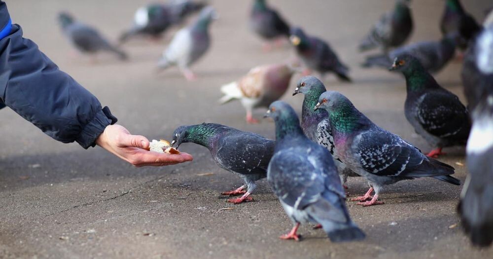 для атмосферы