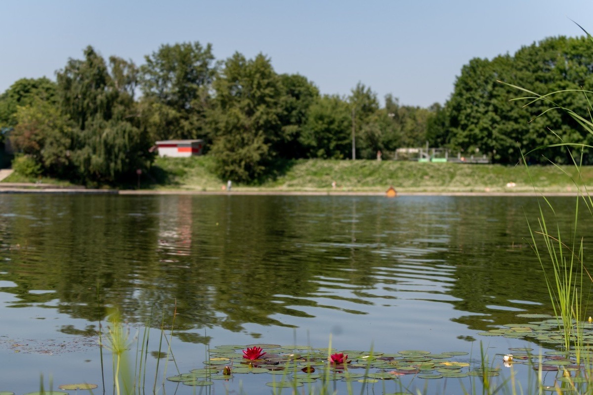 Фото: Юлия Федотова