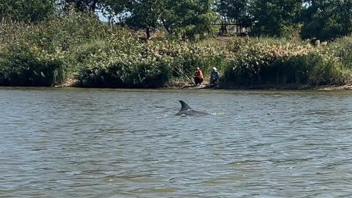     / Источник: © Соцсети