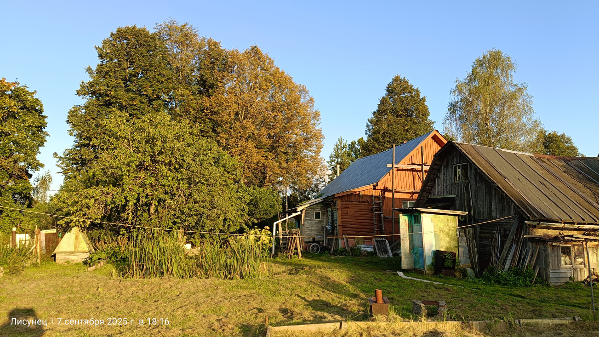 Фото автора. 