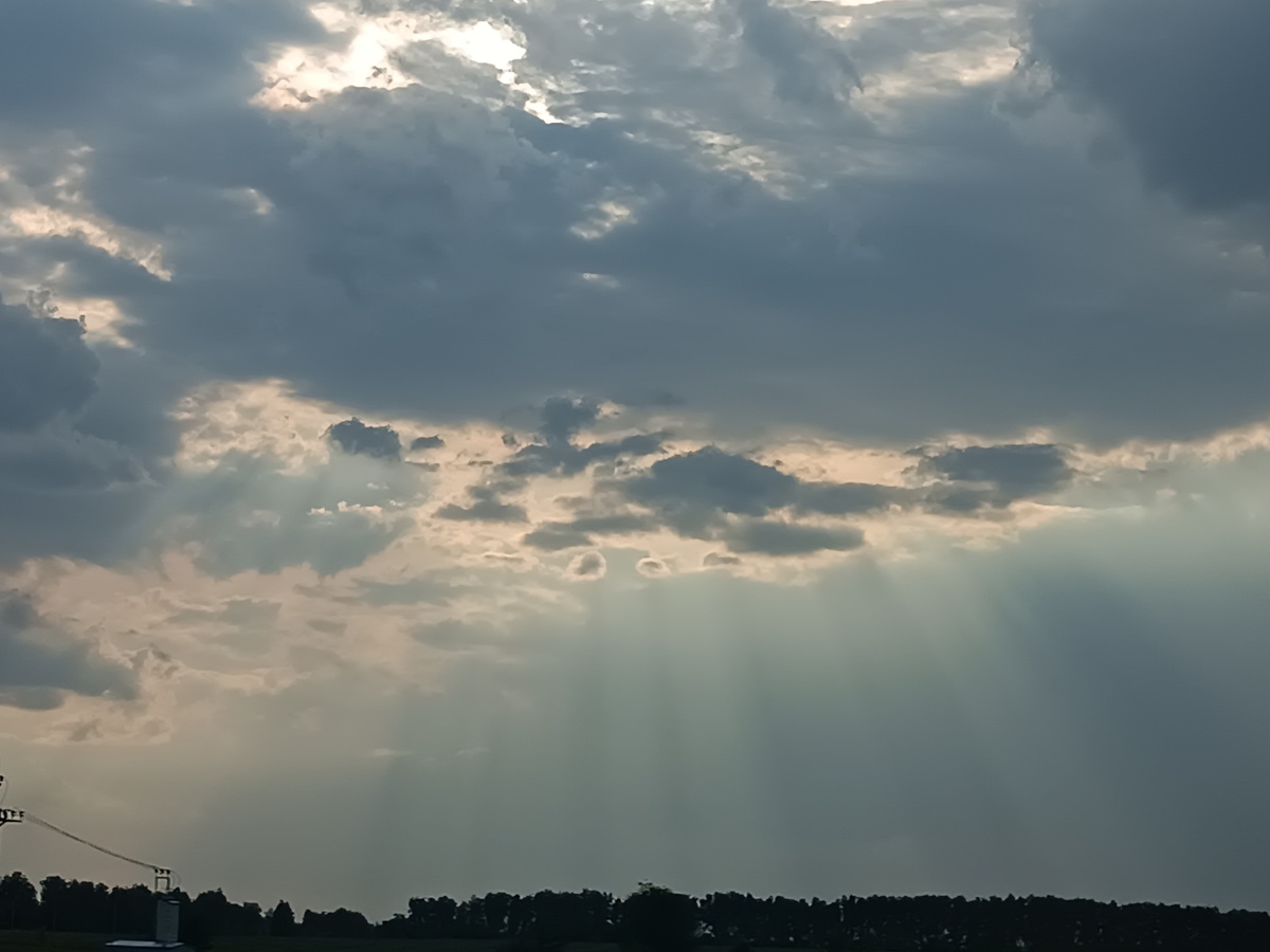 "Луч солнца золотого... "