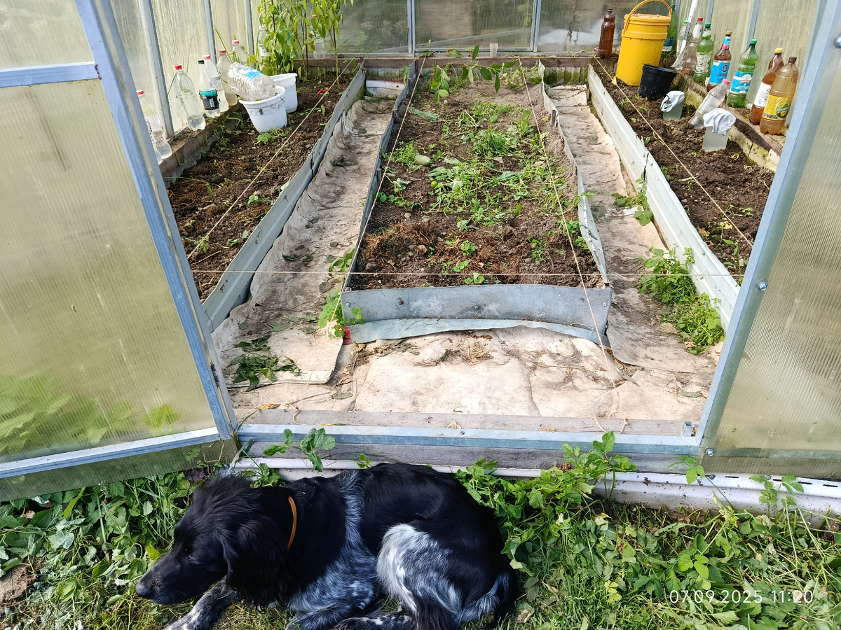 Разметил переделки Фото 7 сентября 