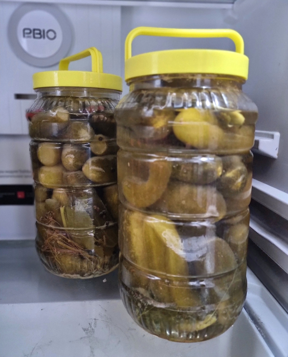 Фото: Зеленая леди, сад, семья и томатный сок