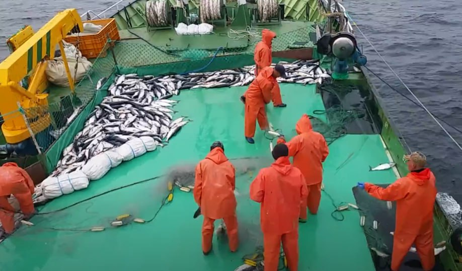 Prt Scr youtube.com / Андрей Котенко