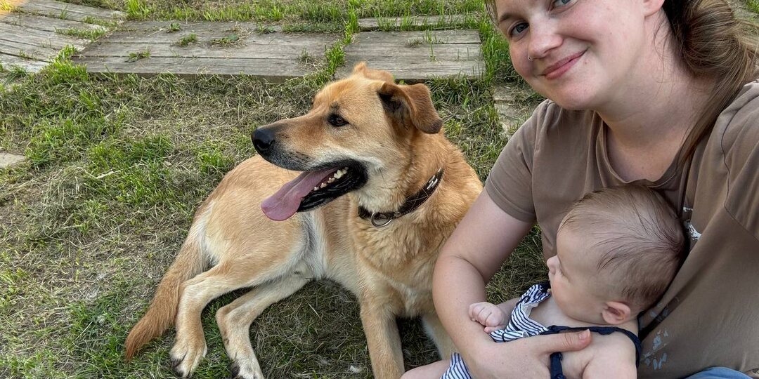 Мы хотели показать, как пёс относится к ребёнку, а нам написали много неприятных вещей