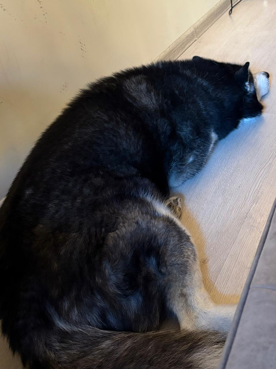 Дин. Не орет пока. Орет только, когда... 