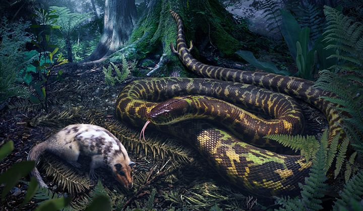 Эта змеюка ещё не окончательно рассталась с конечностями