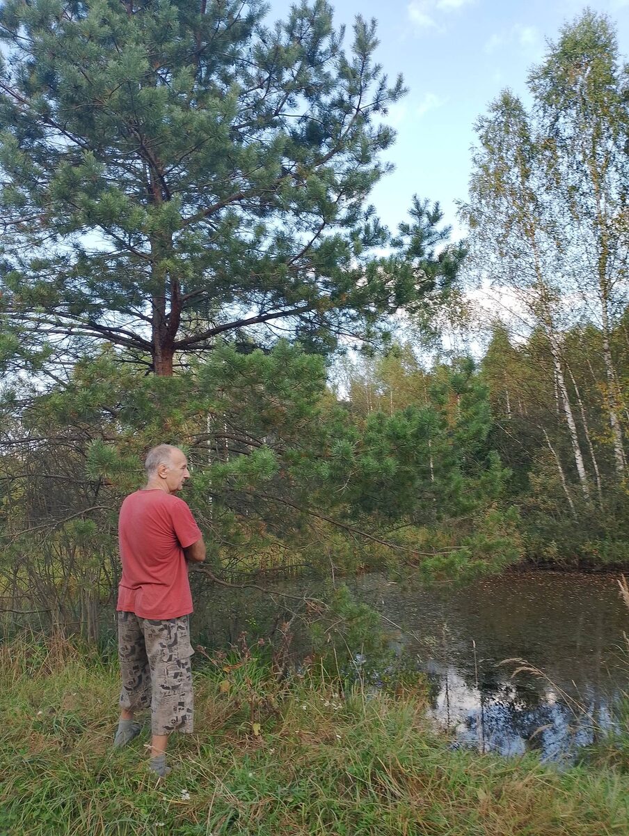 Стою у лесного озерца, куда лебедь прилетает, выдумываю историю