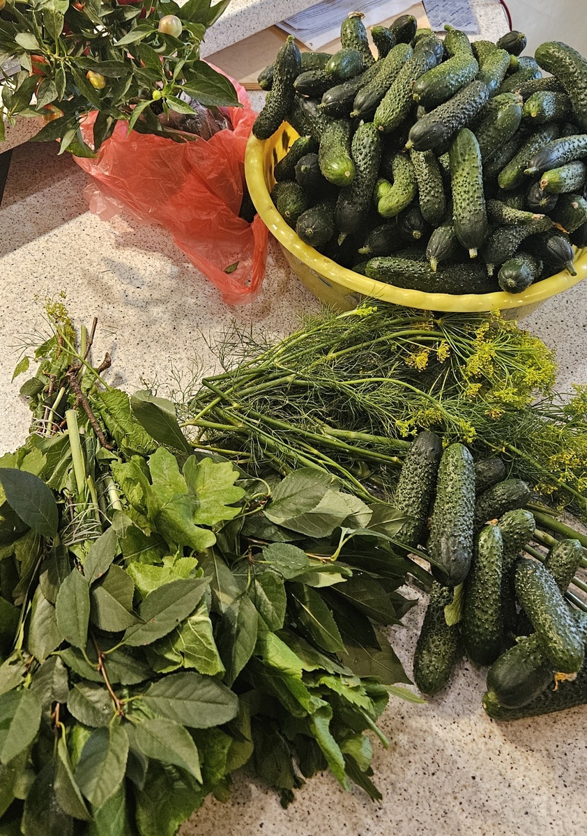 Фото автора. Купила огурчики уже в сентябре по 120 рублей на рынке, огорода у меня нет уже как 4 года.