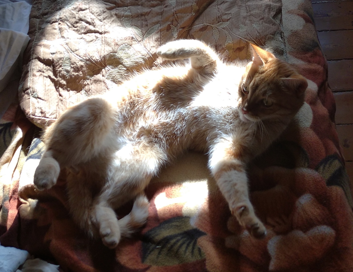 личное фото.