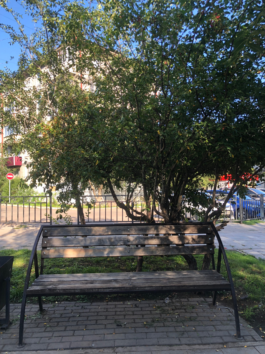 Та самая скамейка в тени