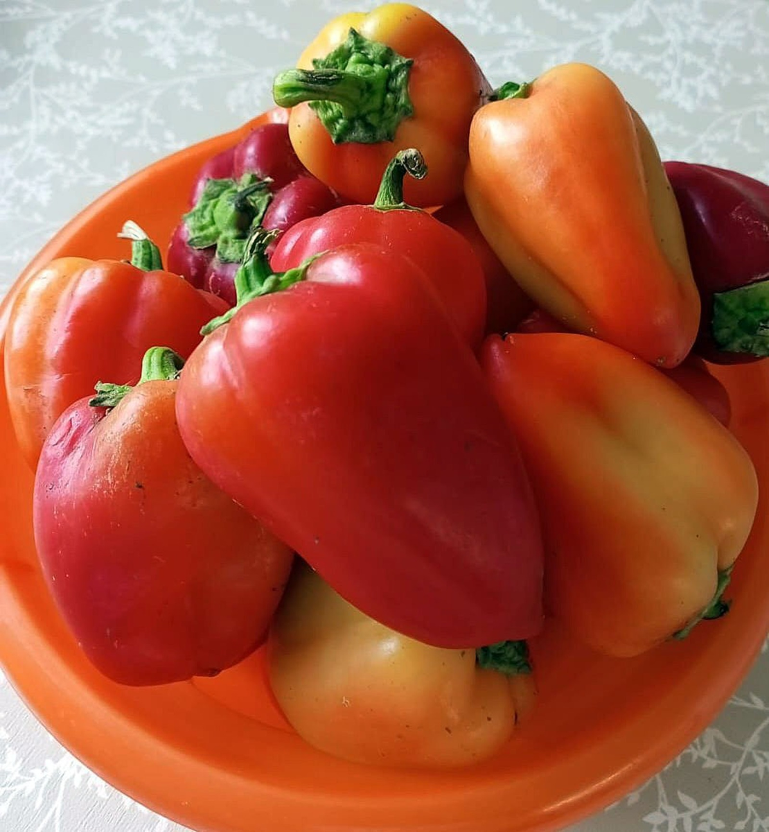 Фото: Артур СМОЛОВ