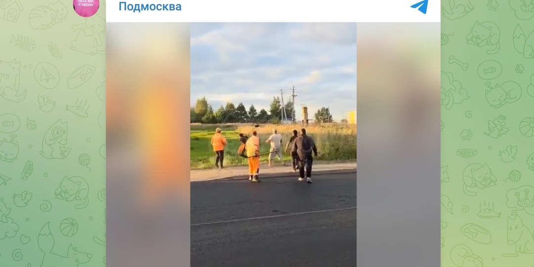 По встречке и с лопатой: приезжие устроили драку из-за того, что им не позволили ехать как нравится