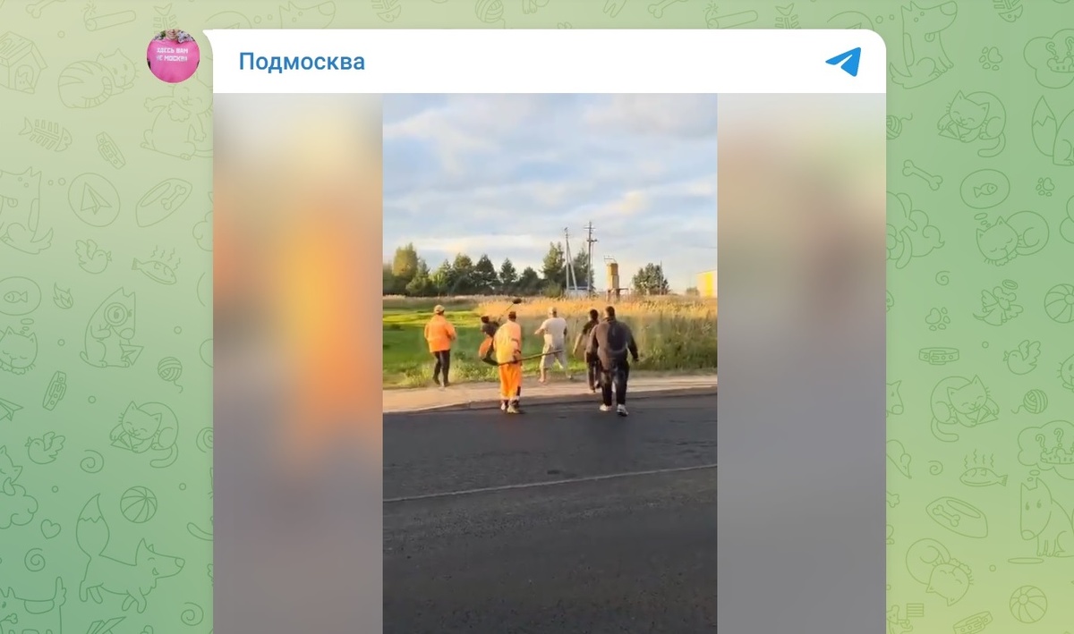 Скриншот видео из соцсетей