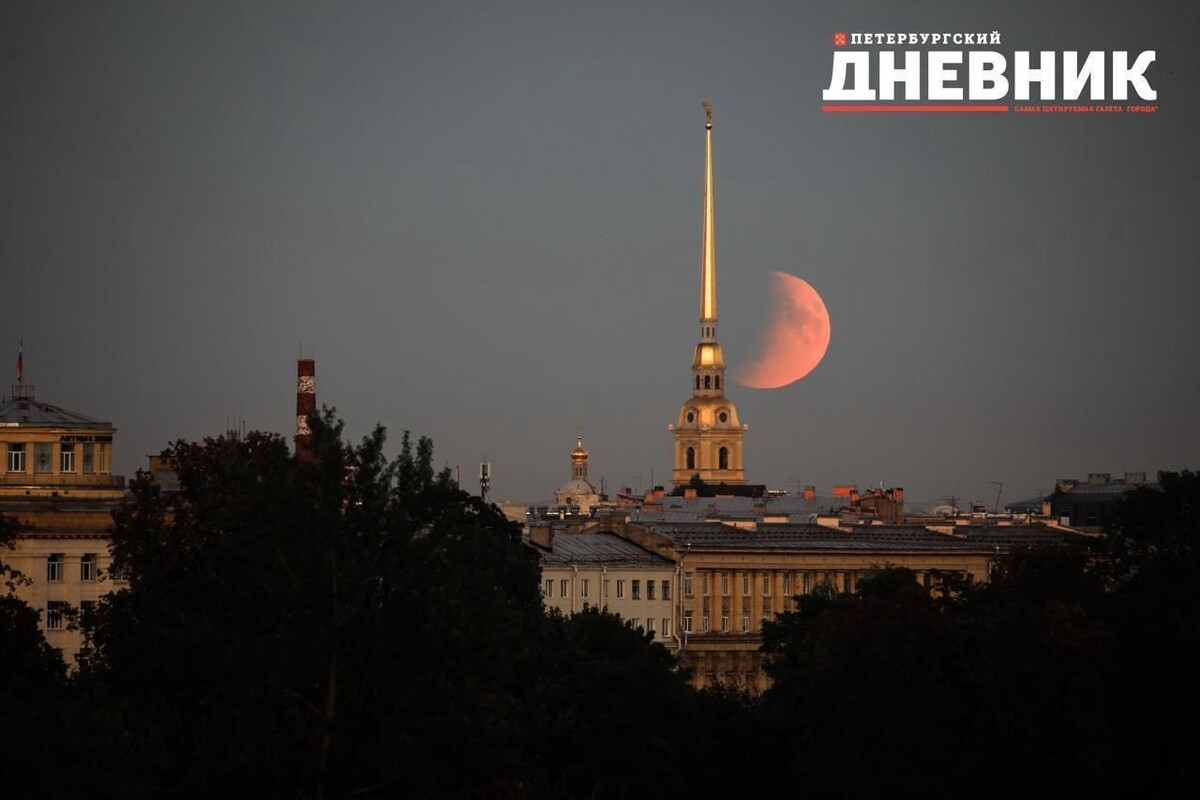 Фото: Алексей Яковлев / «Петербургский дневник»