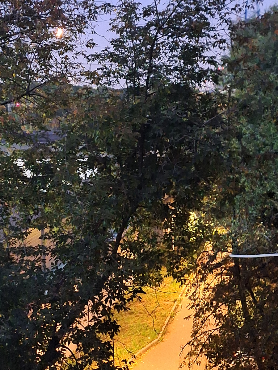 Луна - в левом углу. Фото - собственность автора канала "ТАК НАДО".