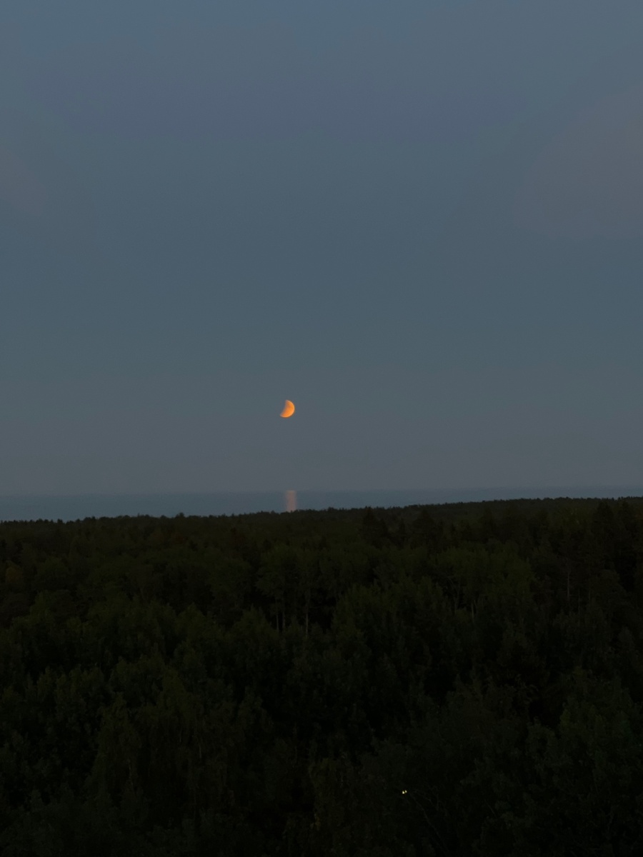    Жители Петрозаводска делятся фото Лунного затменияАрина Степенная