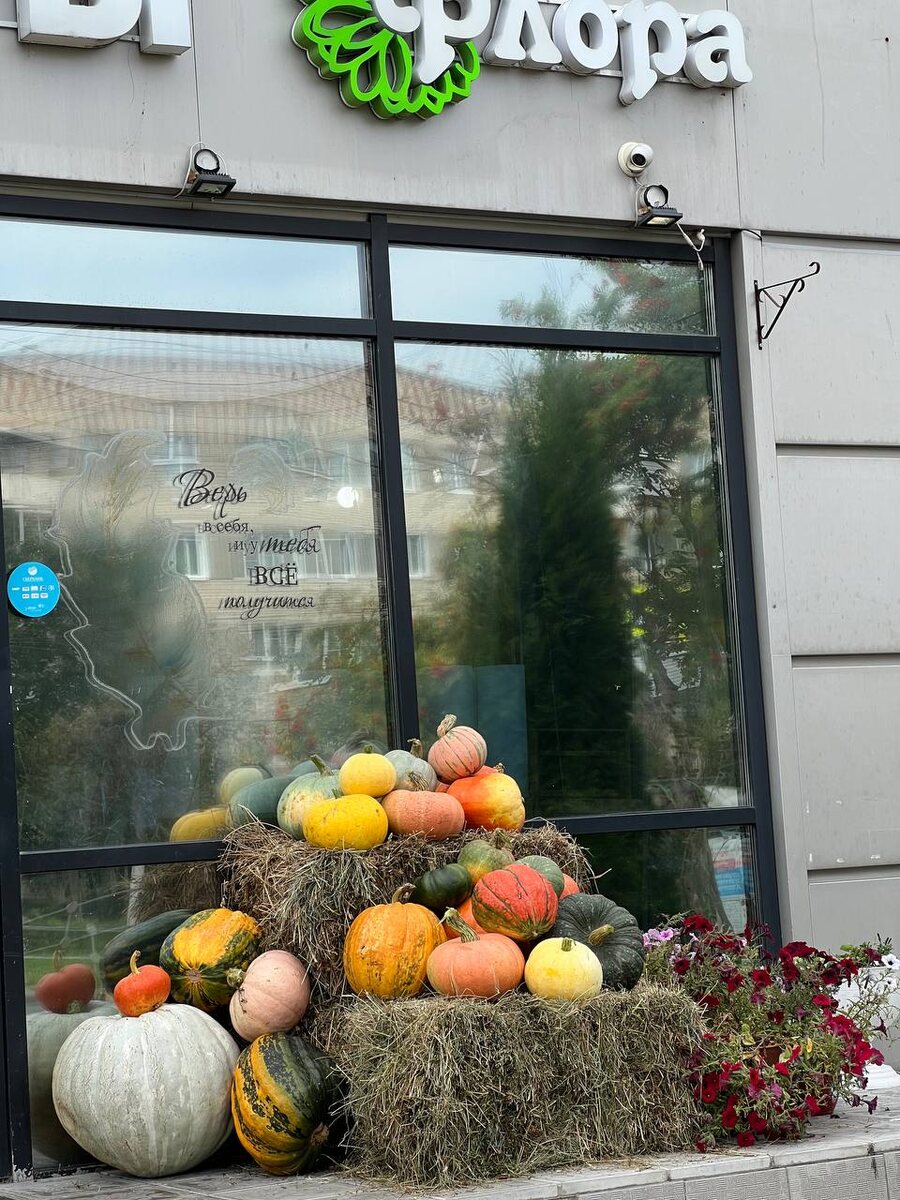 Вот так вышло