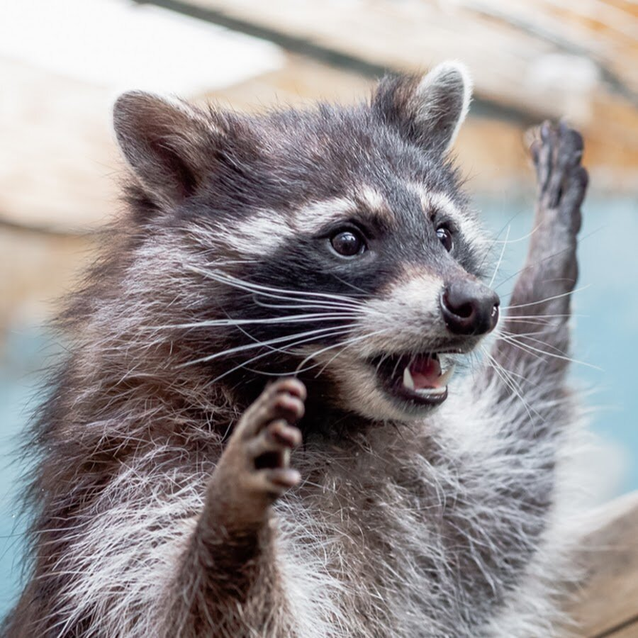 Источник фото www.youtube.com
