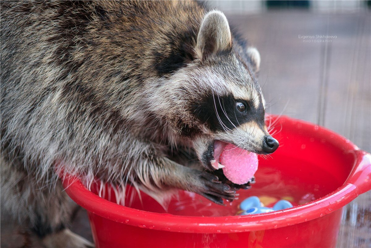 Источник news.myseldon.com
