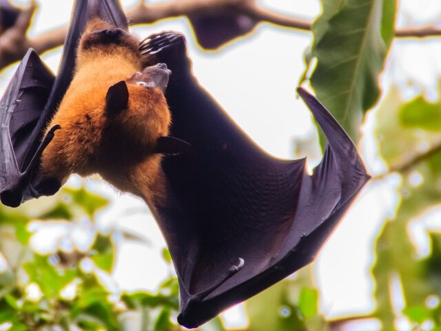    Фото: 123RF/kampwit