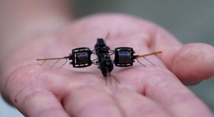 А вот и пчела :)