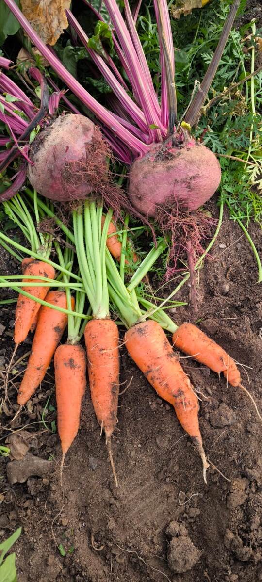 Хороши природные богатства.