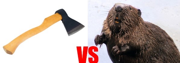 Давайте сравним возможности бобра и топора в уничтожении дерева.