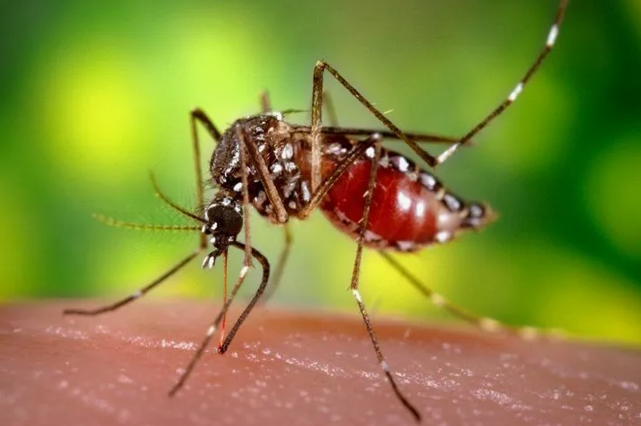 Поставь лайк!