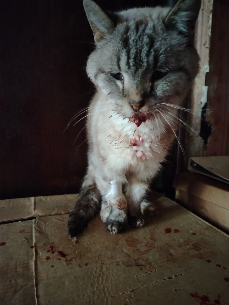 Малыш смертельно болен